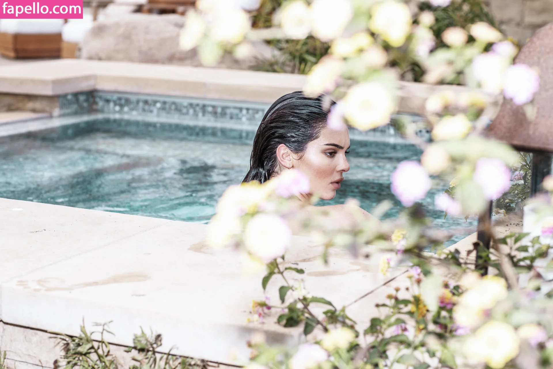 Kendall Jenner Onlyfans Photo Gallery 