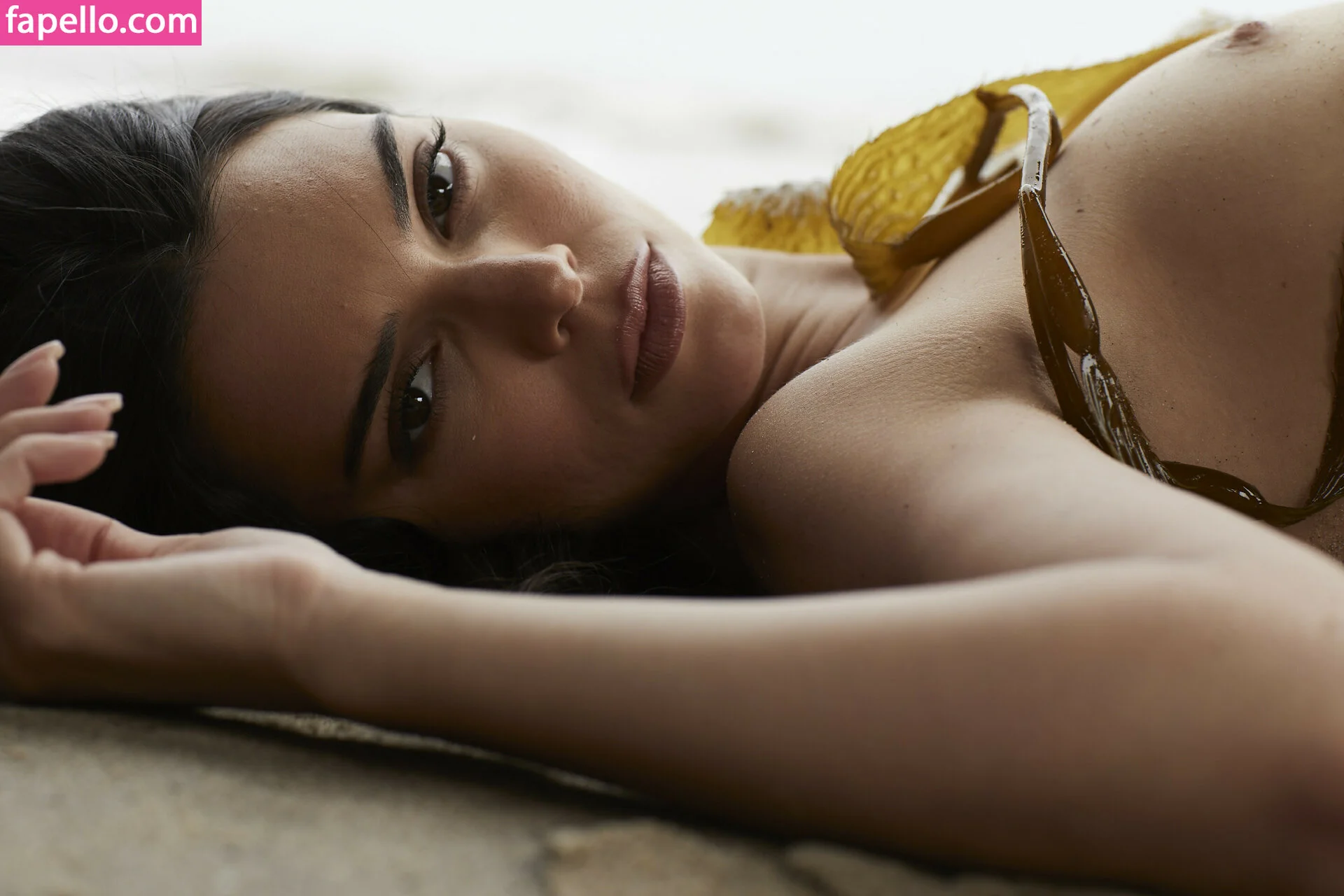 Kendall Jenner Onlyfans Photo Gallery 