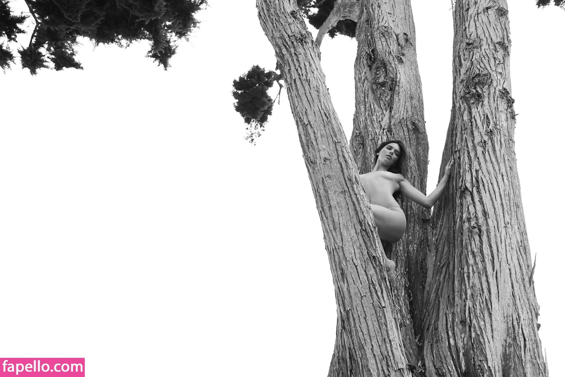 Kendall Jenner Onlyfans Photo Gallery 