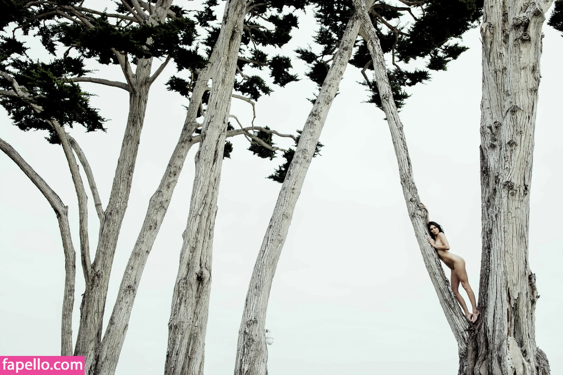 Kendall Jenner Onlyfans Photo Gallery 