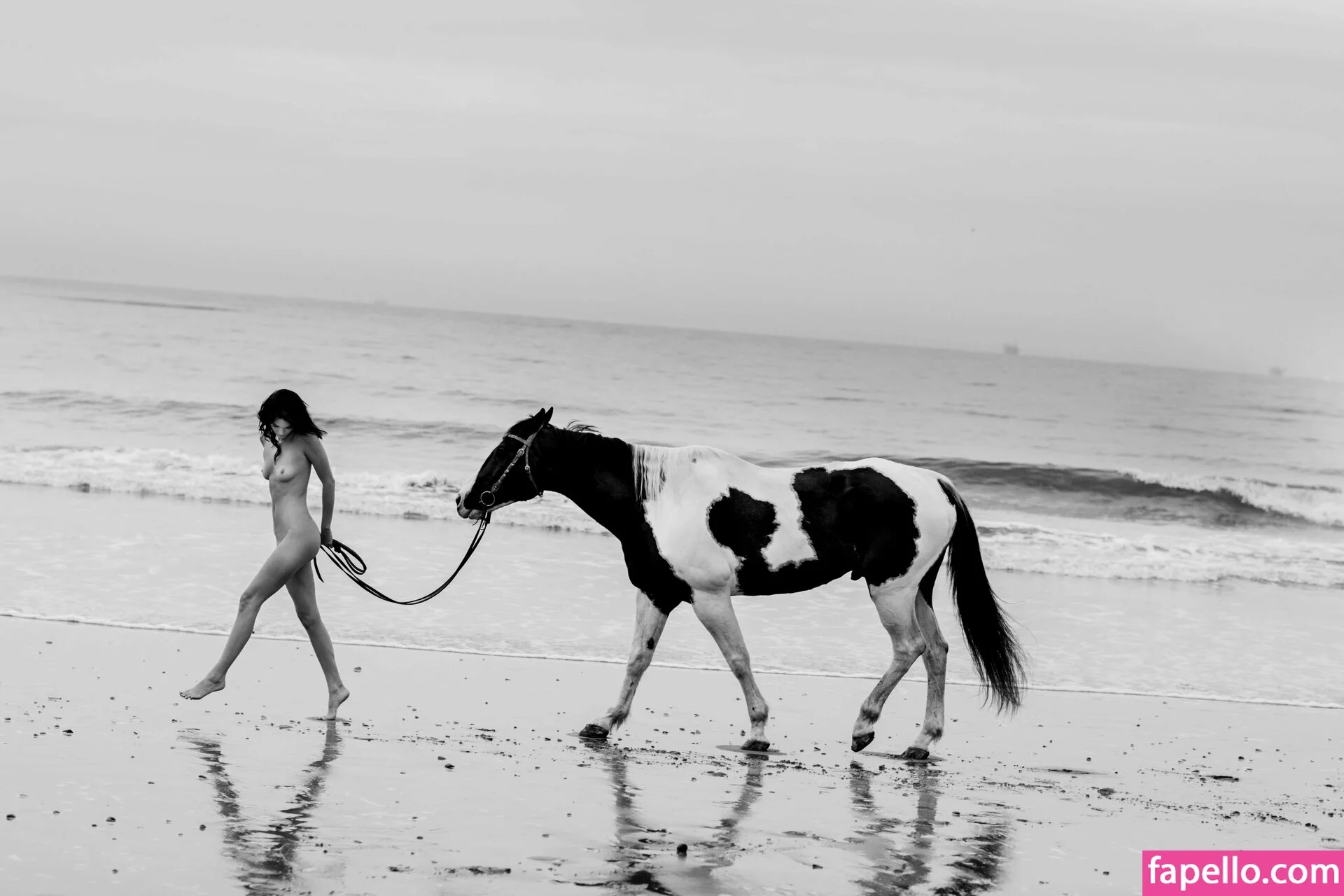 Kendall Jenner Onlyfans Photo Gallery 