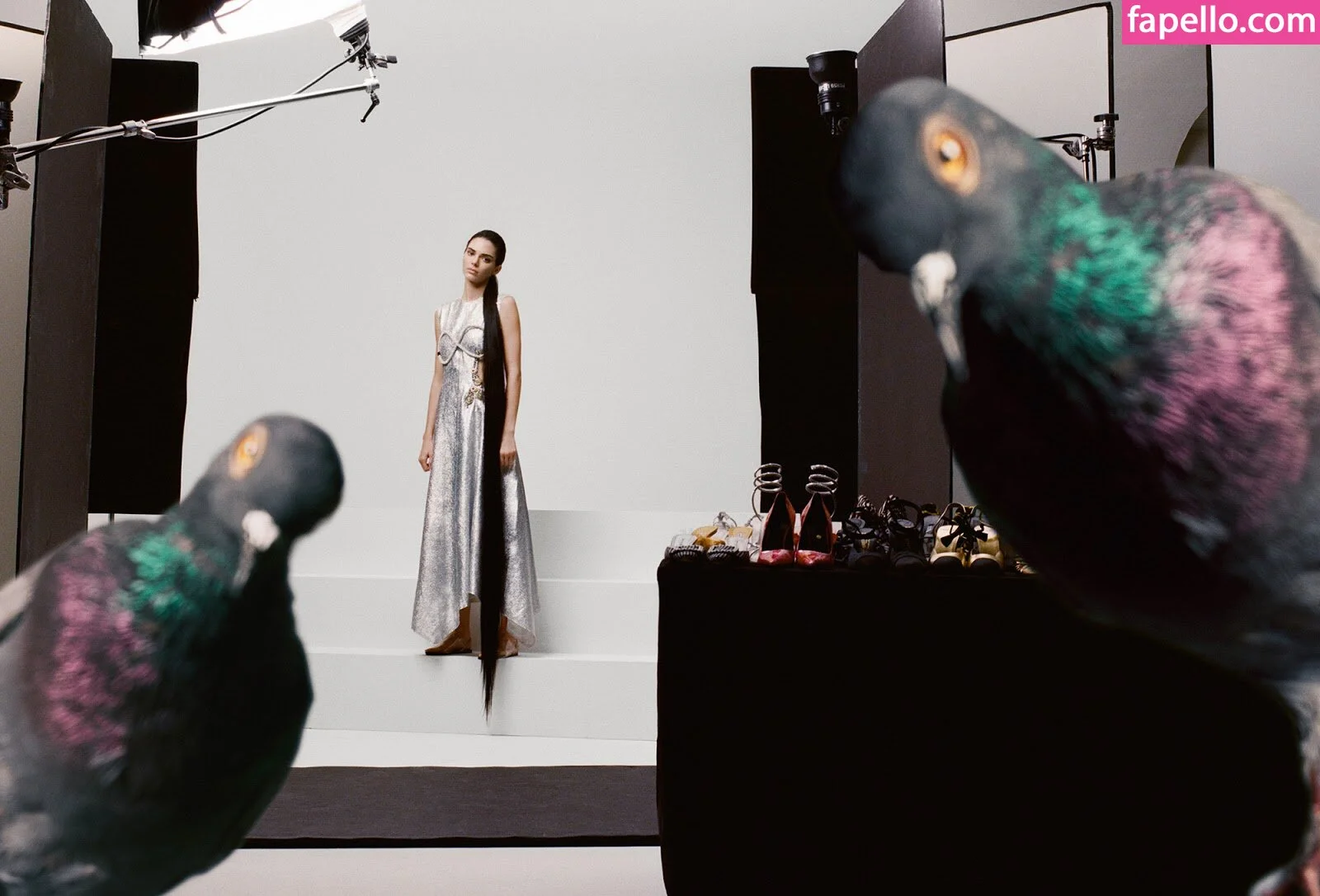 Kendall Jenner Onlyfans Photo Gallery 