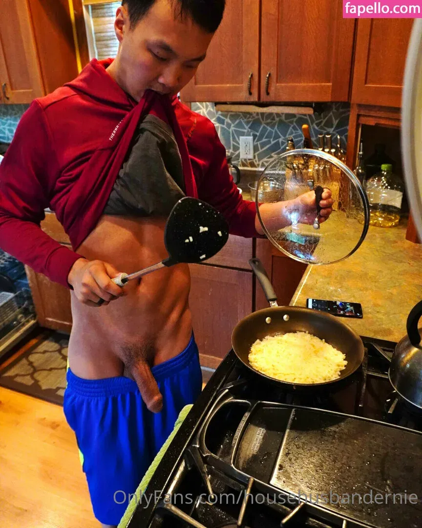 househusbandernie Onlyfans Photo Gallery 