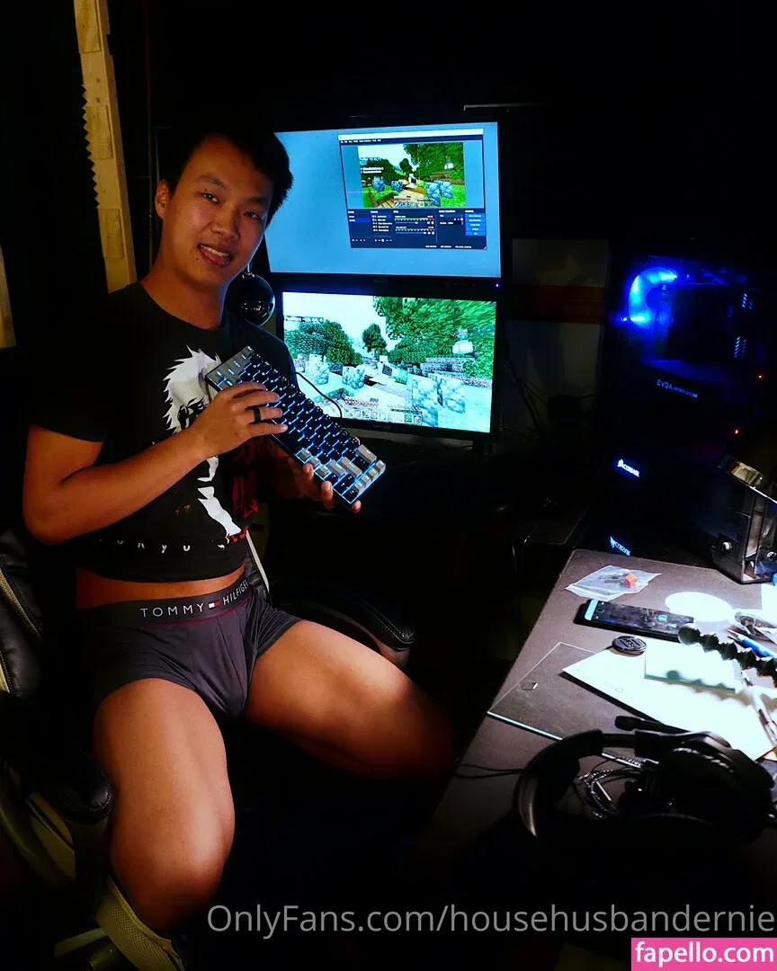 househusbandernie Onlyfans Photo Gallery 