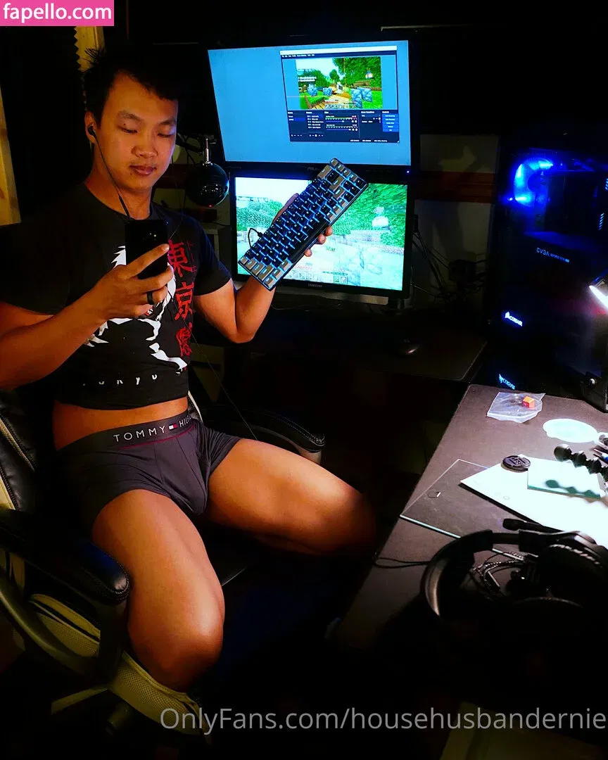 househusbandernie Onlyfans Photo Gallery 