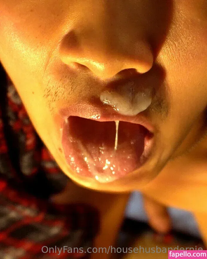 househusbandernie Onlyfans Photo Gallery 