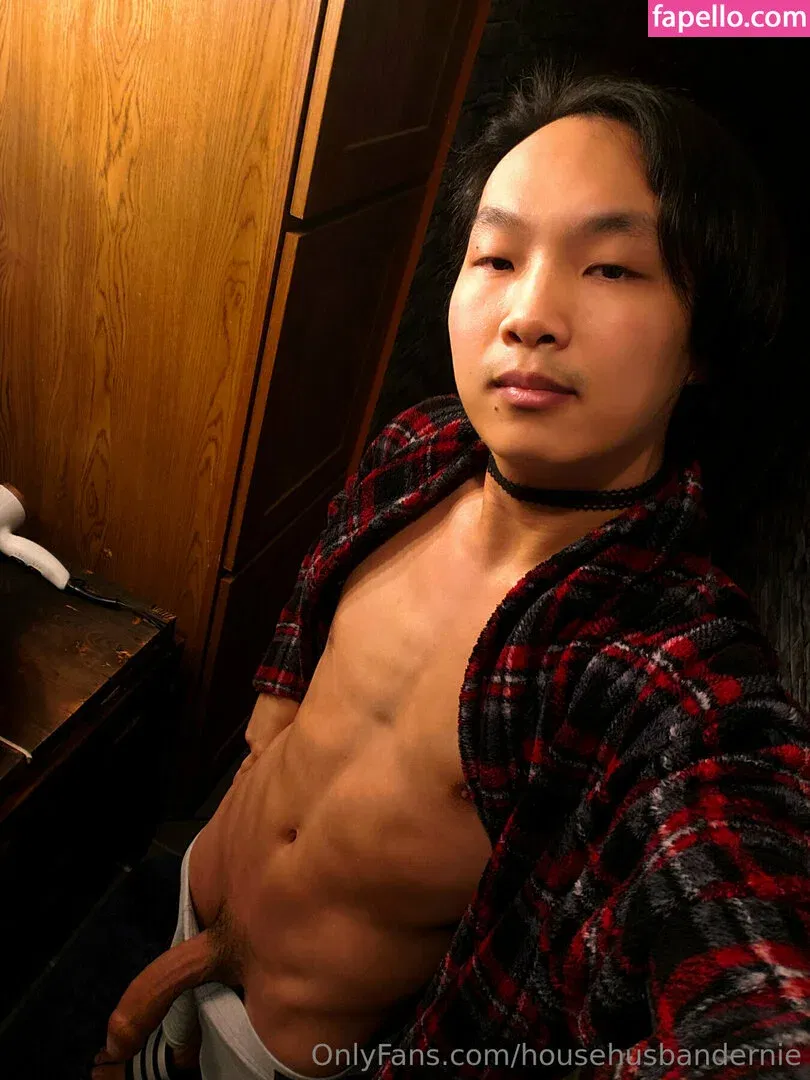 househusbandernie Onlyfans Photo Gallery 