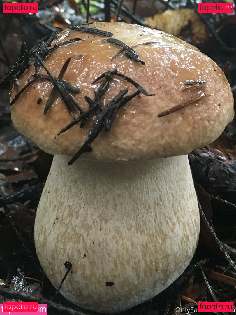 NSFWLeia Onlyfans Photo Gallery 