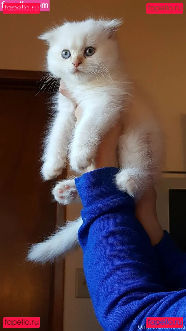 NSFWLeia Onlyfans Photo Gallery 