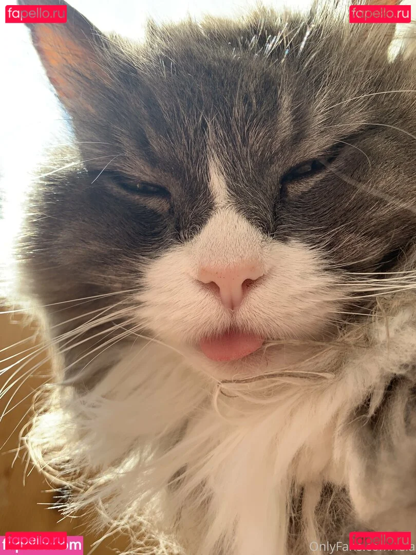 NSFWLeia Onlyfans Photo Gallery 