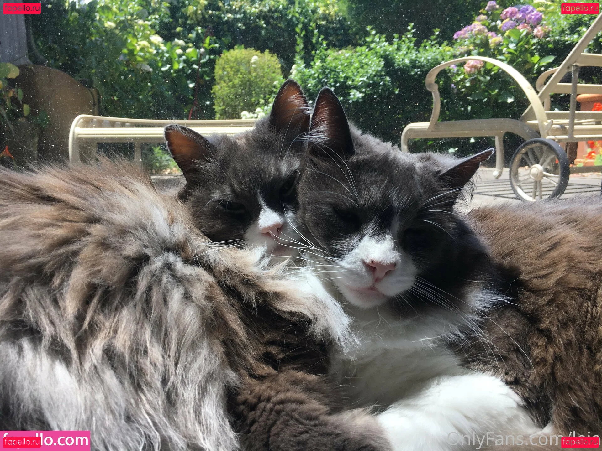 NSFWLeia Onlyfans Photo Gallery 