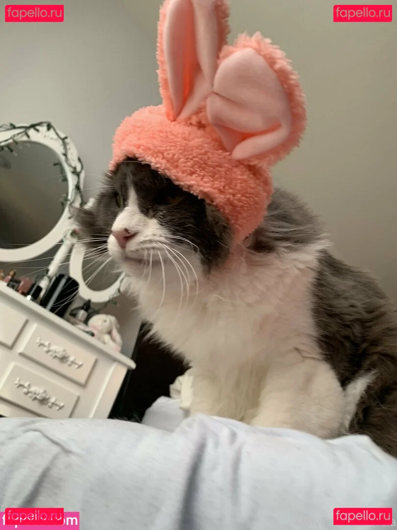 NSFWLeia Onlyfans Photo Gallery 