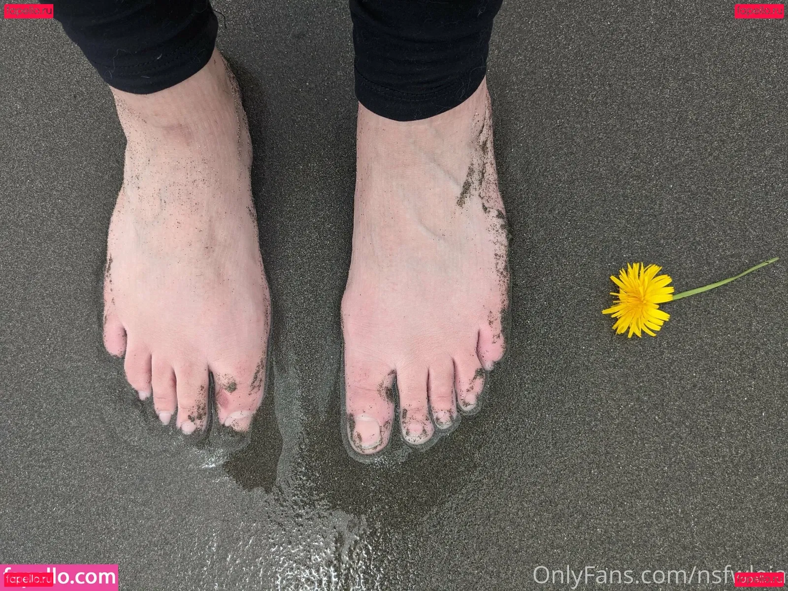 NSFWLeia Onlyfans Photo Gallery 