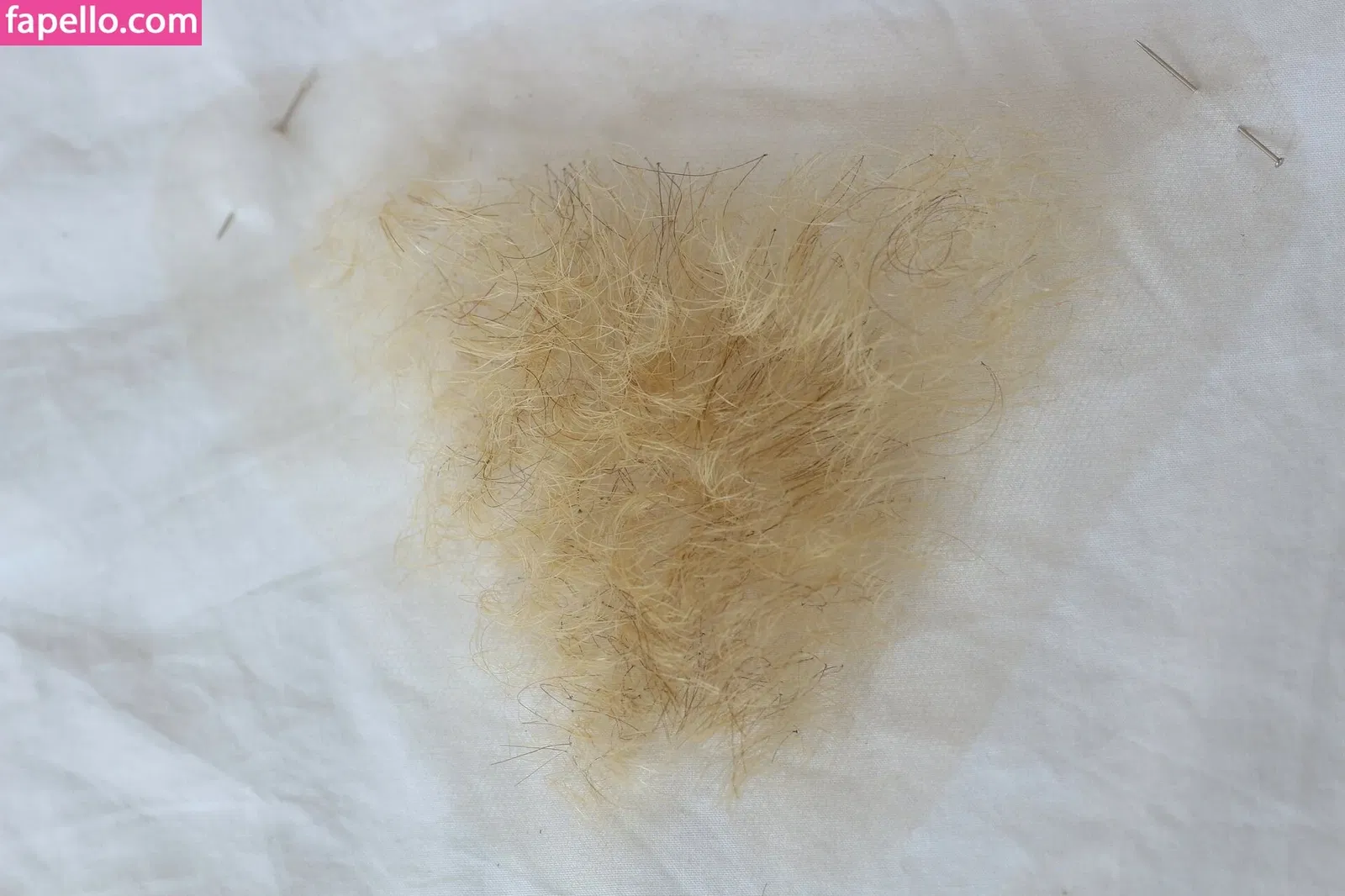 MaimyNyan Onlyfans Photo Gallery 