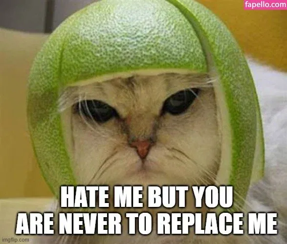 MaimyNyan Onlyfans Photo Gallery 