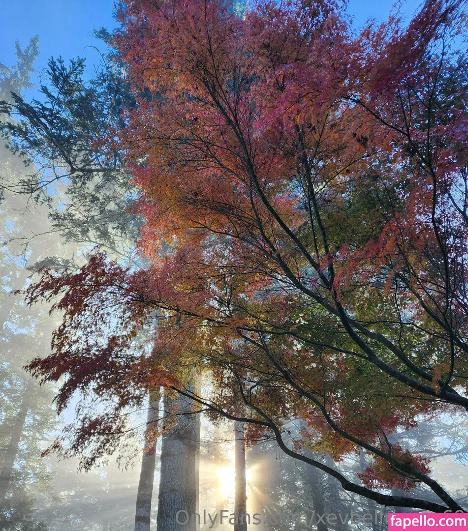 xevbellringer69 Onlyfans Photo Gallery 