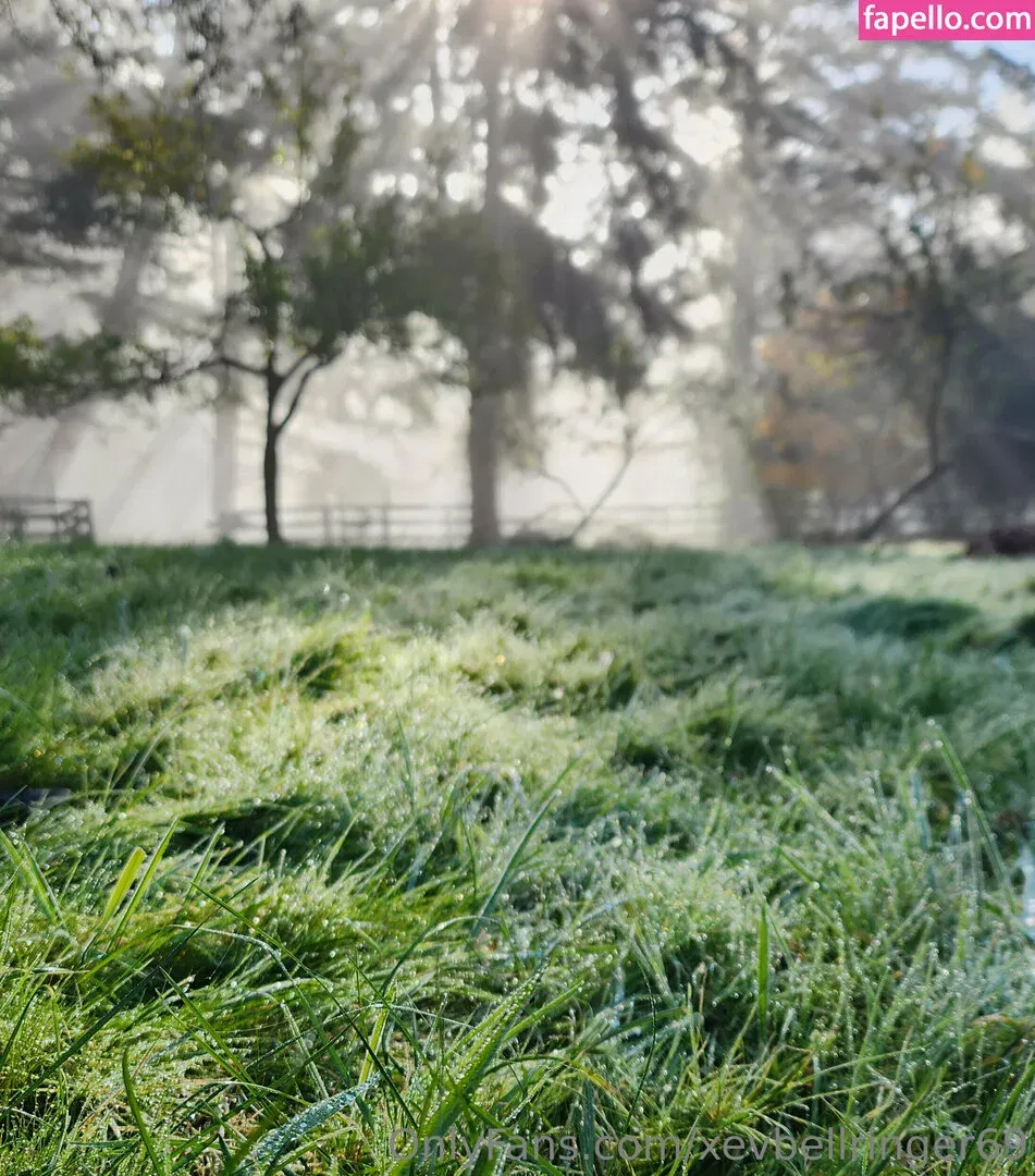 xevbellringer69 Onlyfans Photo Gallery 