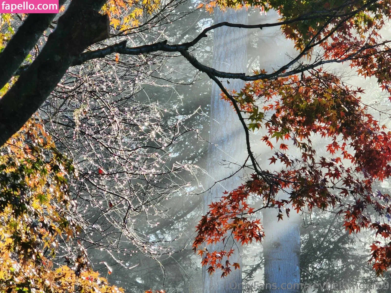 xevbellringer69 Onlyfans Photo Gallery 