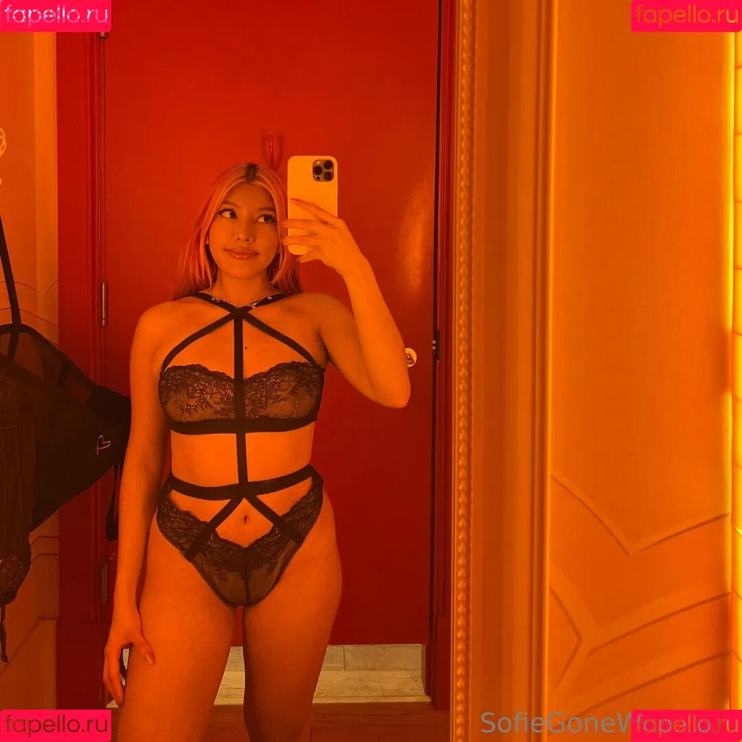 Sofiegonewild Onlyfans Photo Gallery 