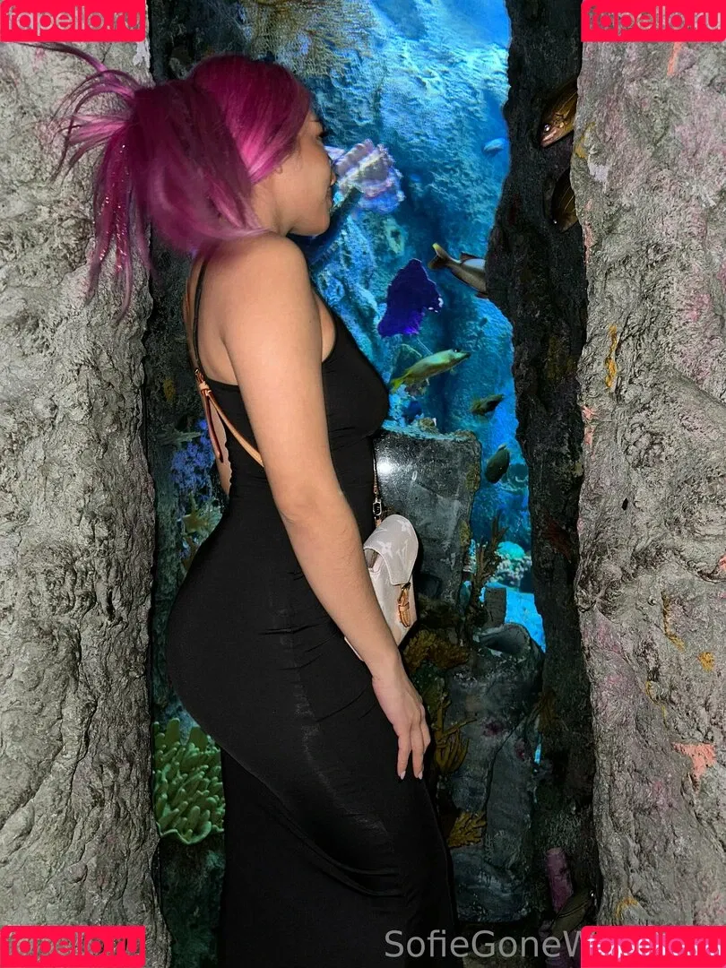 Sofiegonewild Onlyfans Photo Gallery 