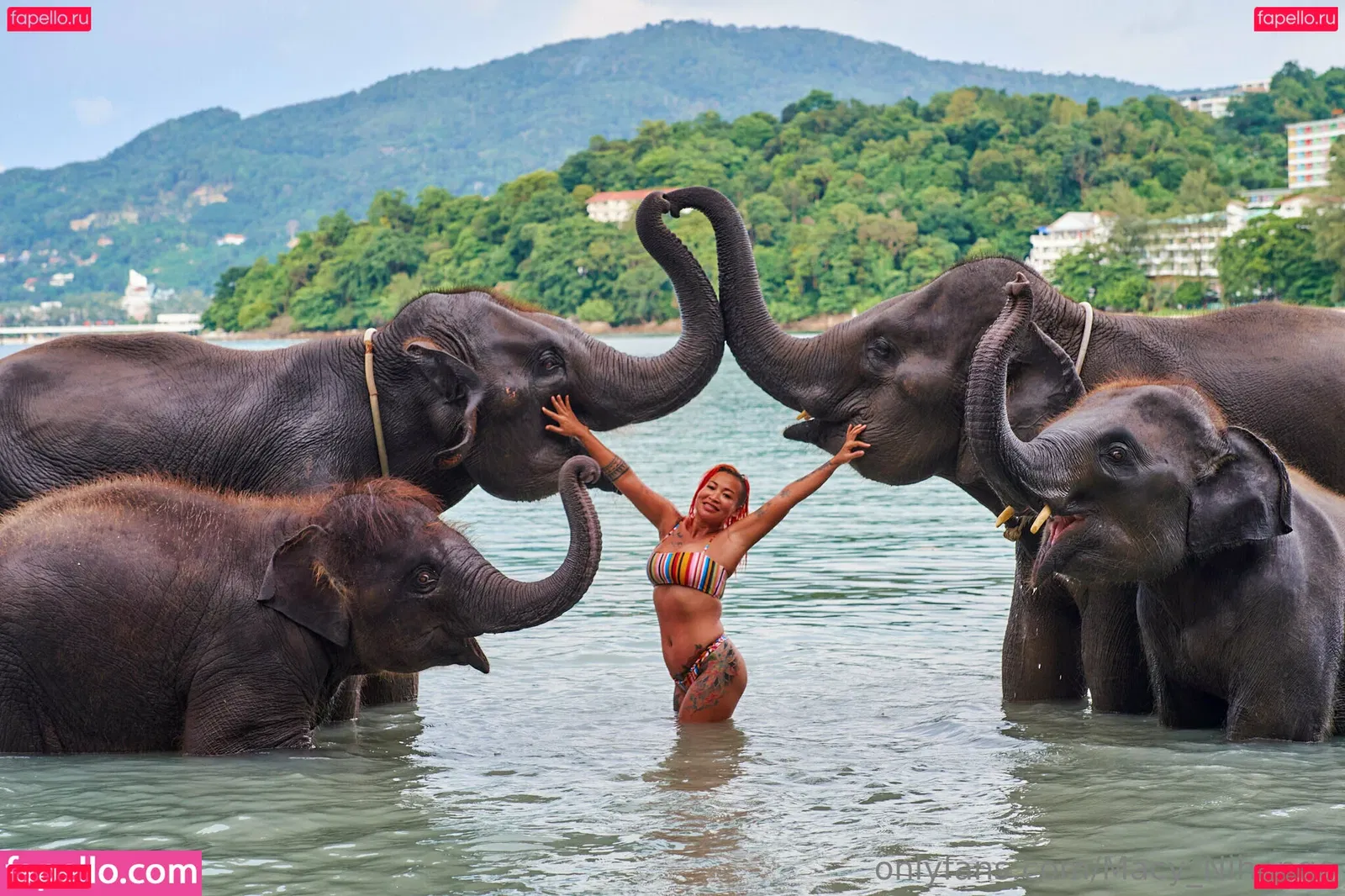 macy_nihongo Onlyfans Photo Gallery 