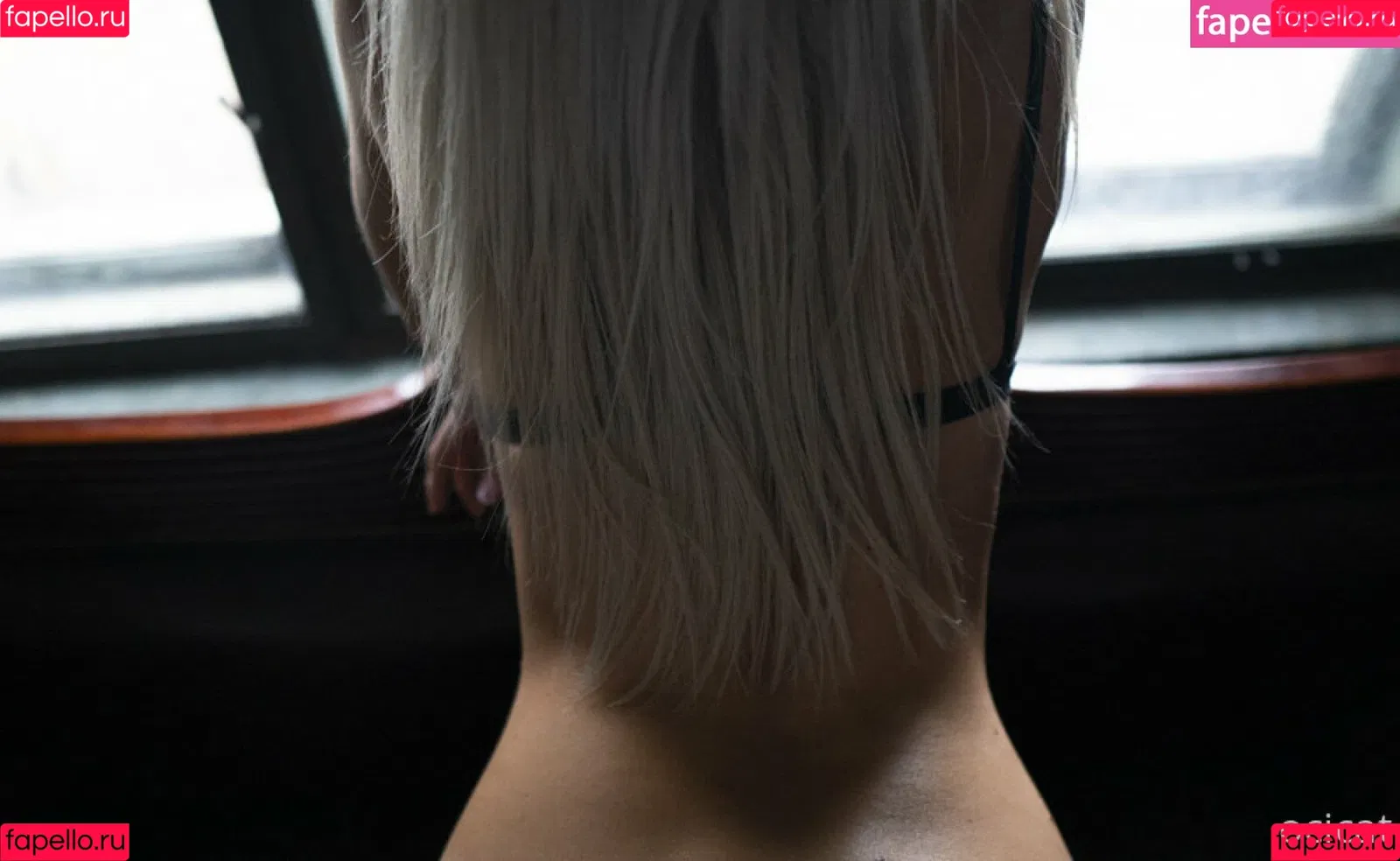 Ocicat Onlyfans Photo Gallery 