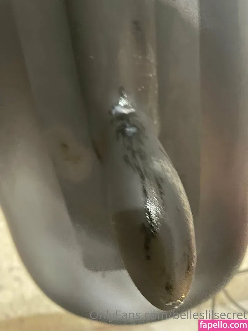 belleslilsecret Onlyfans Photo Gallery 