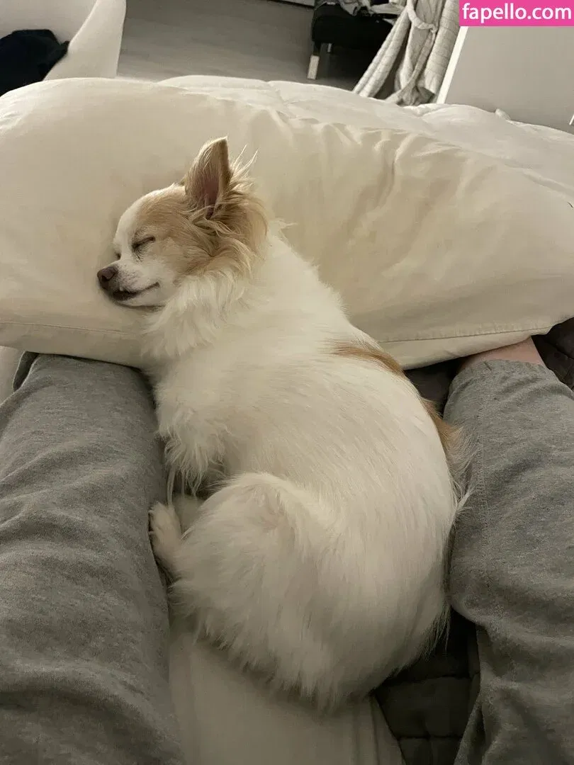 xsofiasunshine Onlyfans Photo Gallery 