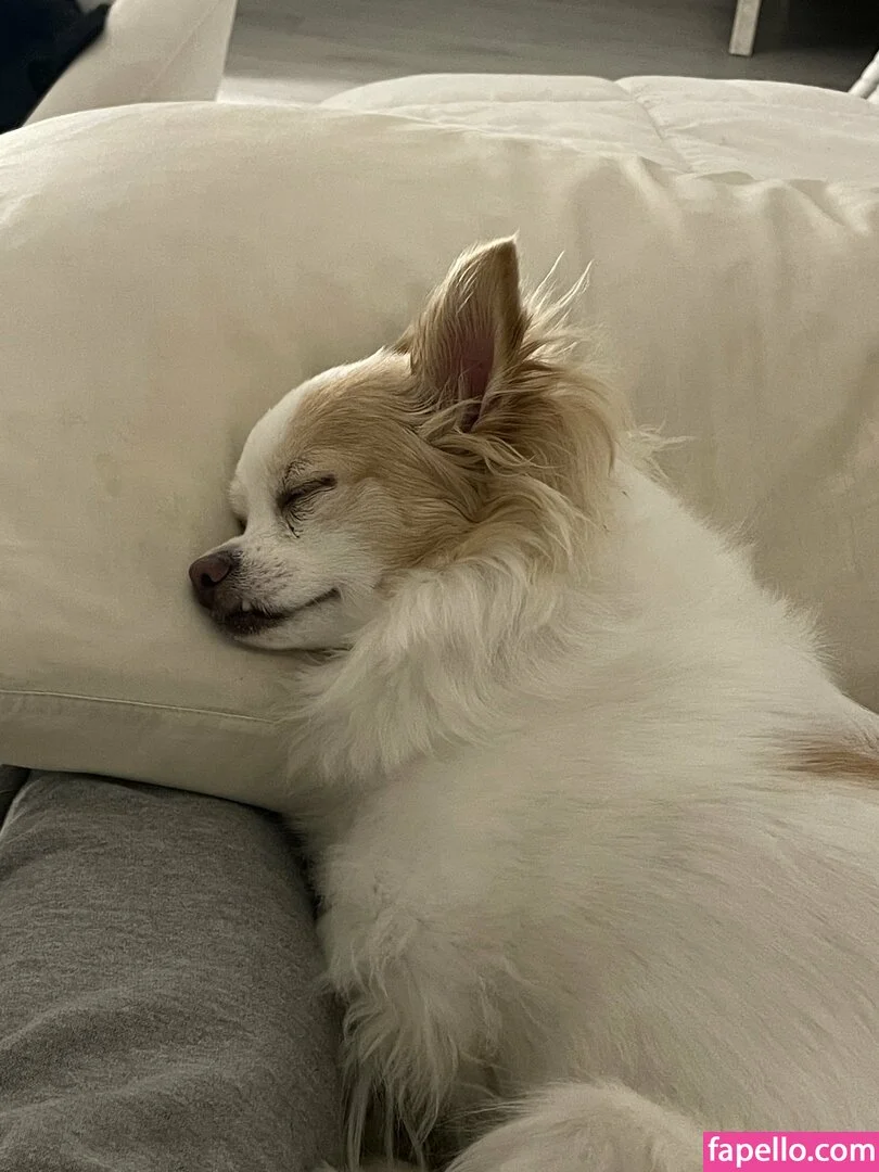 xsofiasunshine Onlyfans Photo Gallery 