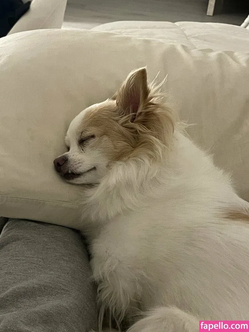 xsofiasunshine Onlyfans Photo Gallery 