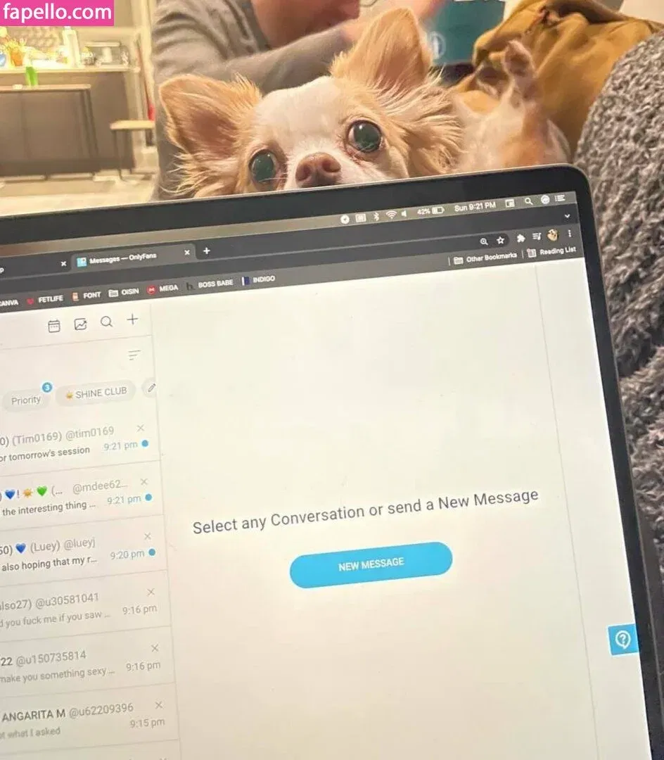 xsofiasunshine Onlyfans Photo Gallery 