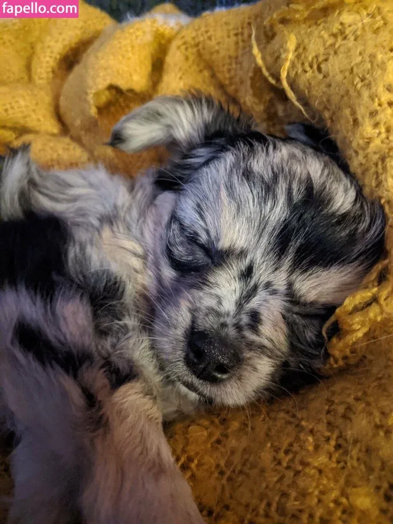 xsofiasunshine Onlyfans Photo Gallery 