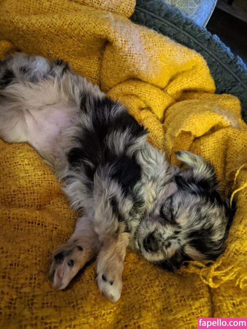 xsofiasunshine Onlyfans Photo Gallery 