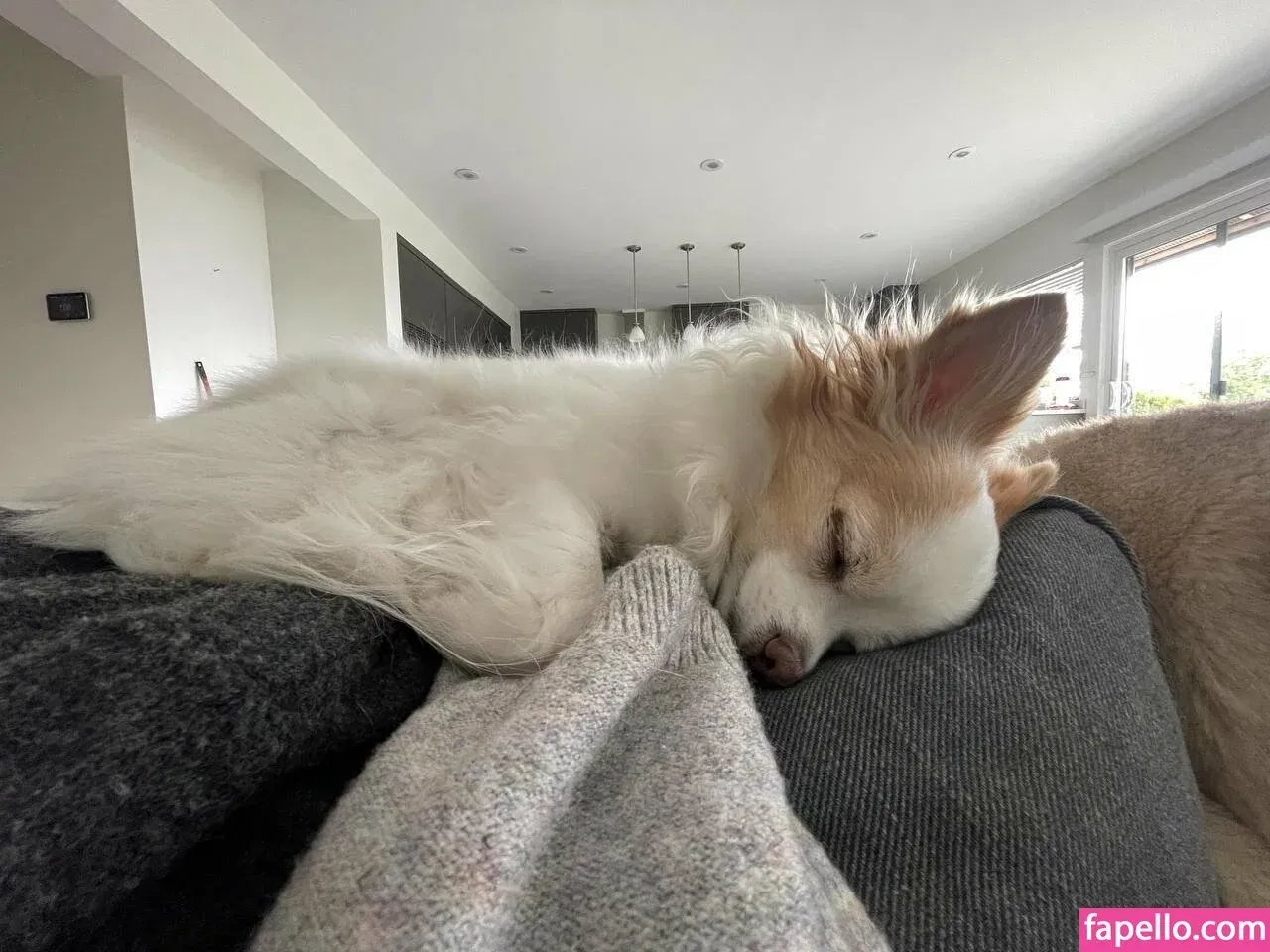 xsofiasunshine Onlyfans Photo Gallery 