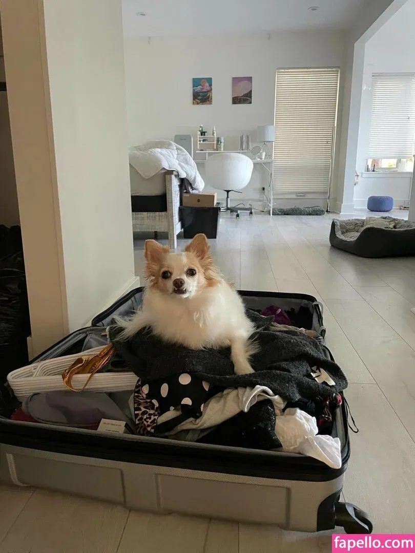 xsofiasunshine Onlyfans Photo Gallery 