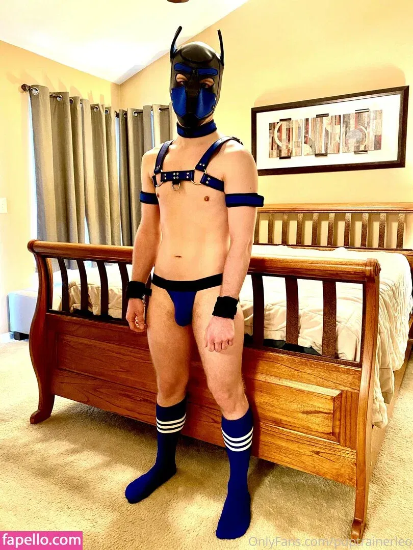 holetrainerleo Onlyfans Photo Gallery 