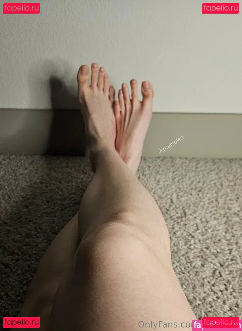 meisoles Onlyfans Photo Gallery 