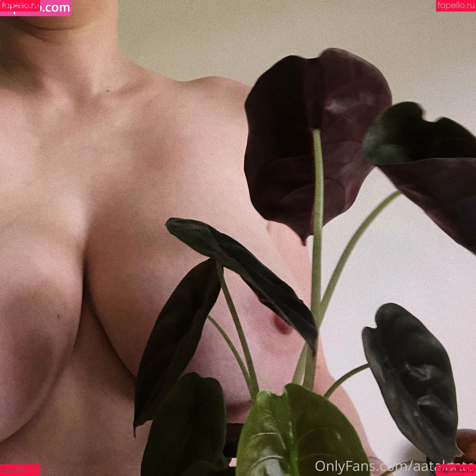 aatalante Onlyfans Photo Gallery 