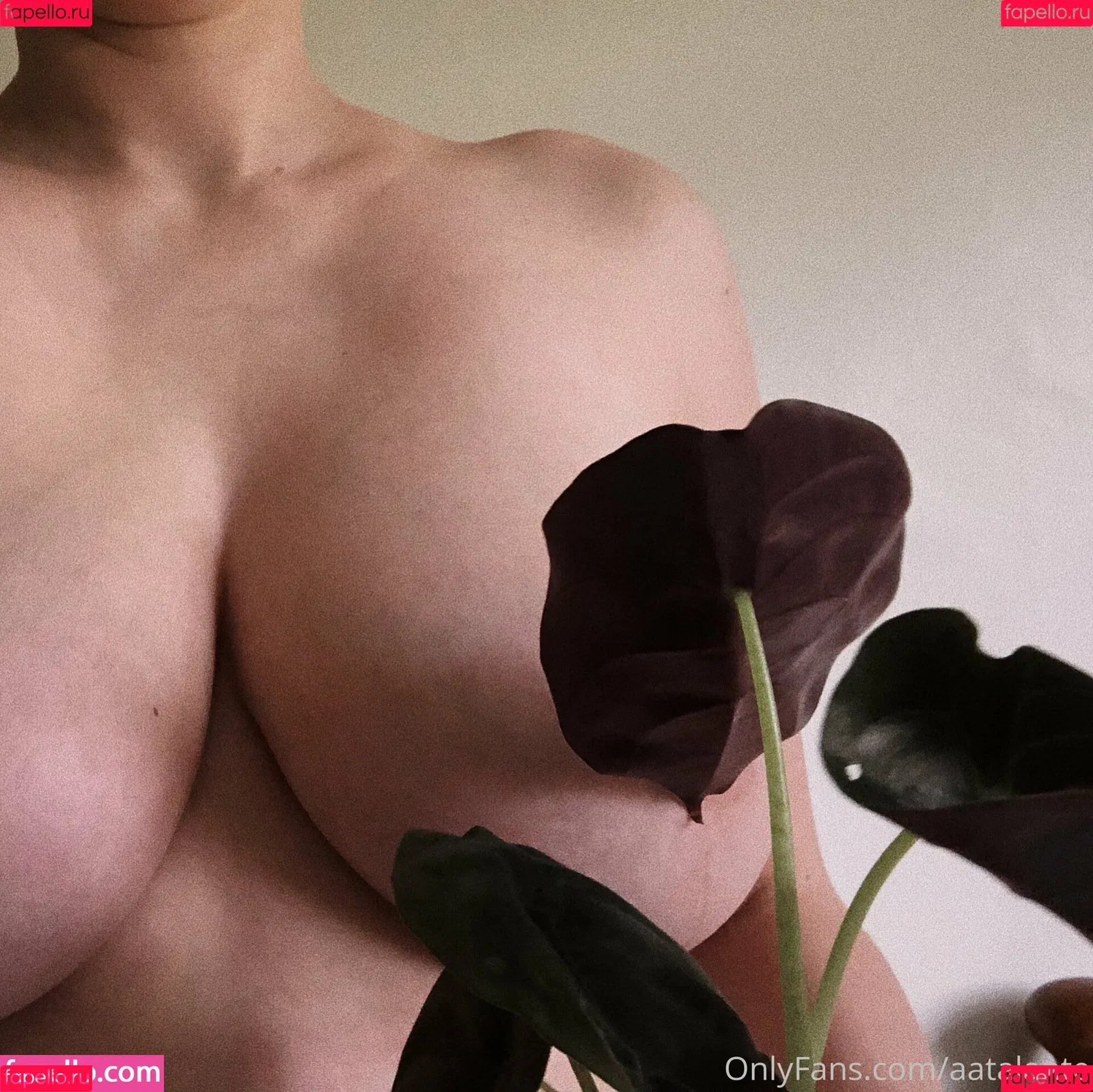 aatalante Onlyfans Photo Gallery 