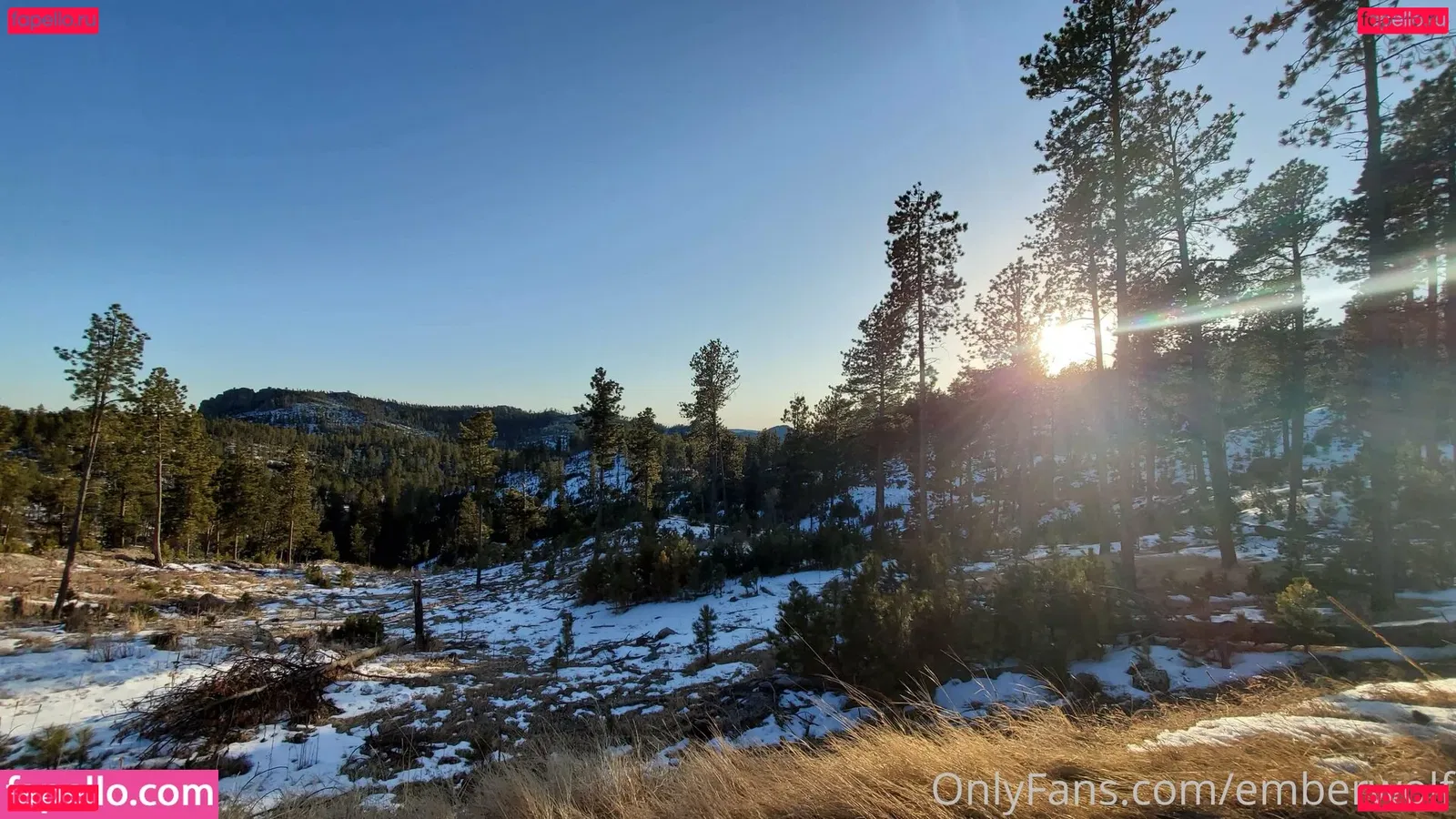 Emberwolf Onlyfans Photo Gallery 