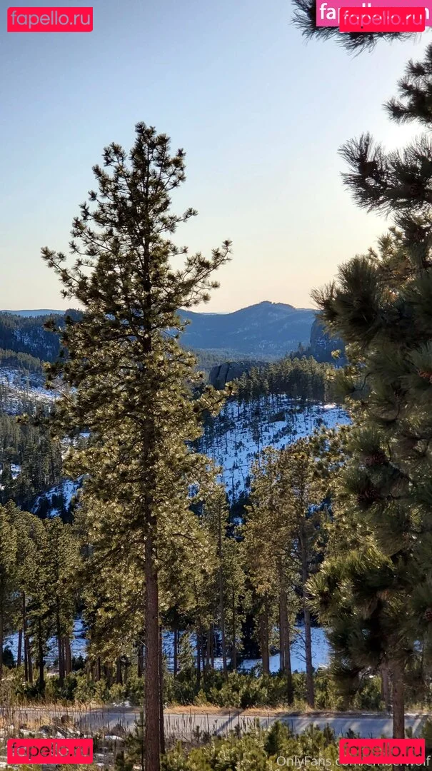 Emberwolf Onlyfans Photo Gallery 