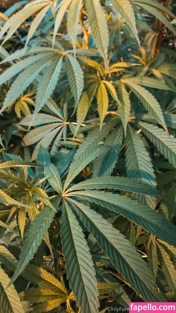 Thalebabe93 Onlyfans Photo Gallery 