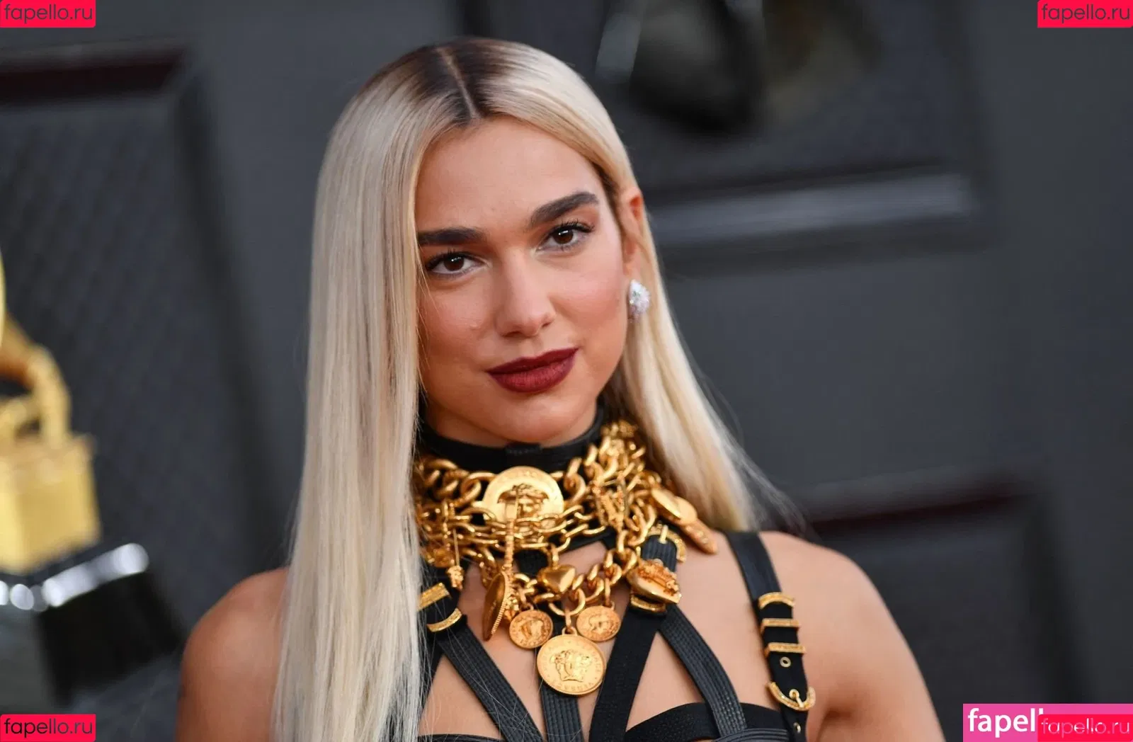 Dua Lipa Onlyfans Photo Gallery 