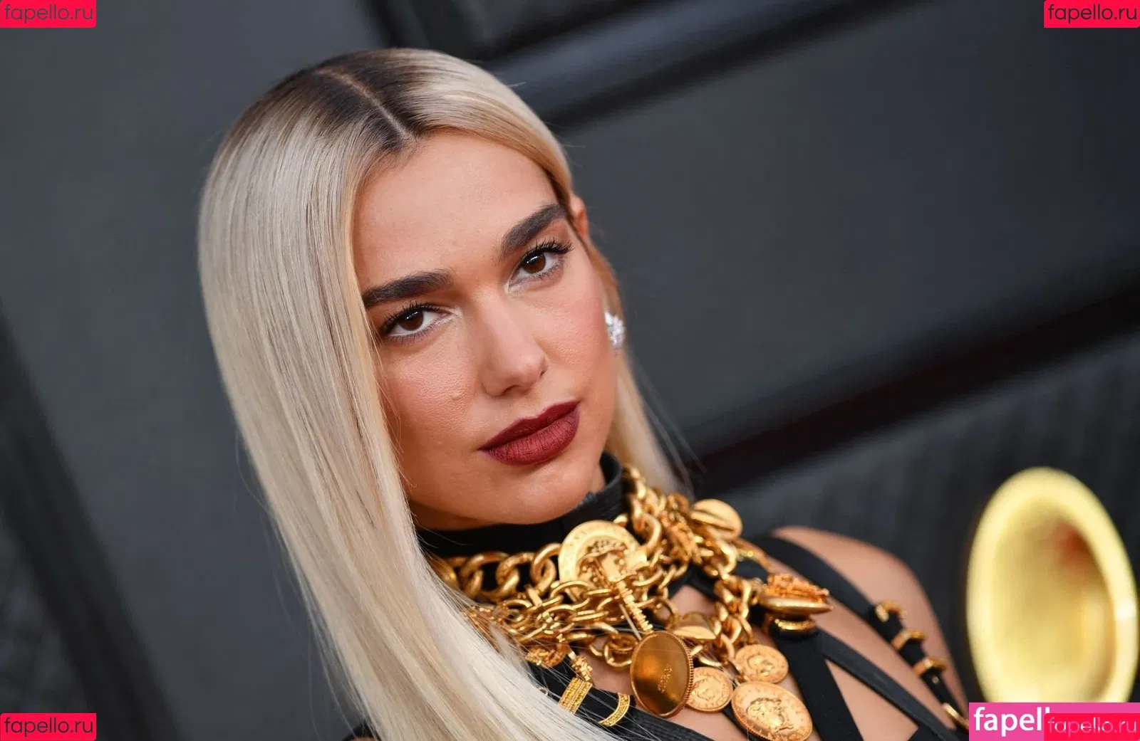 Dua Lipa Onlyfans Photo Gallery 