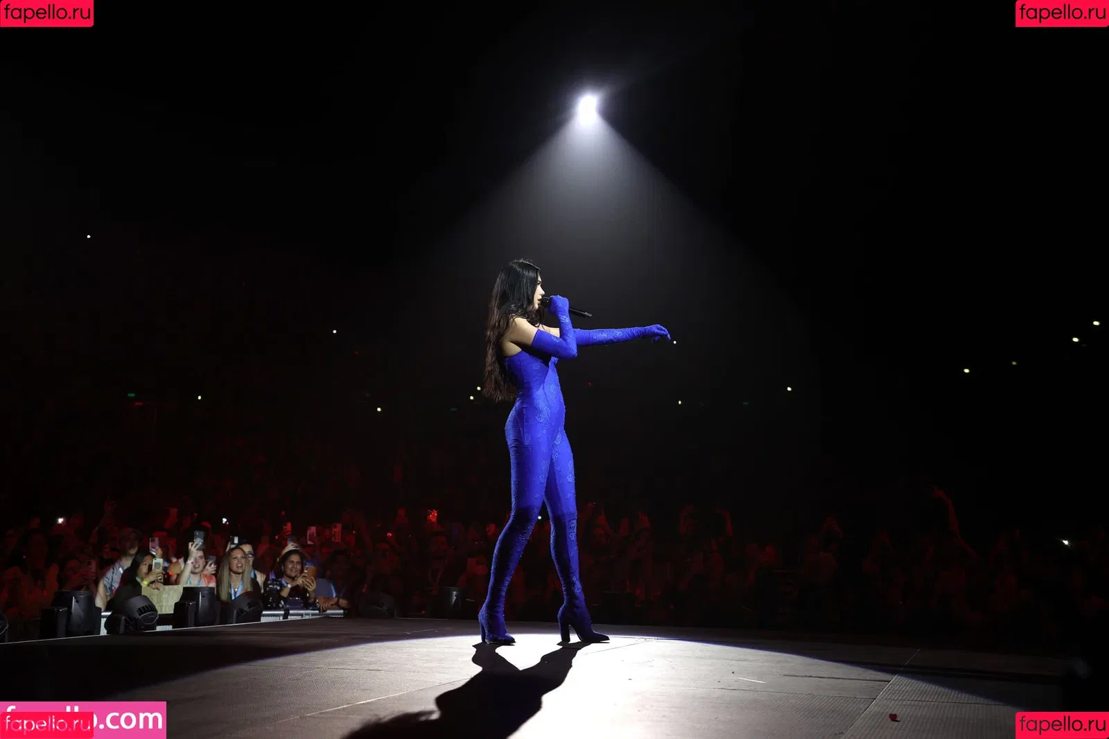 Dua Lipa Onlyfans Photo Gallery 