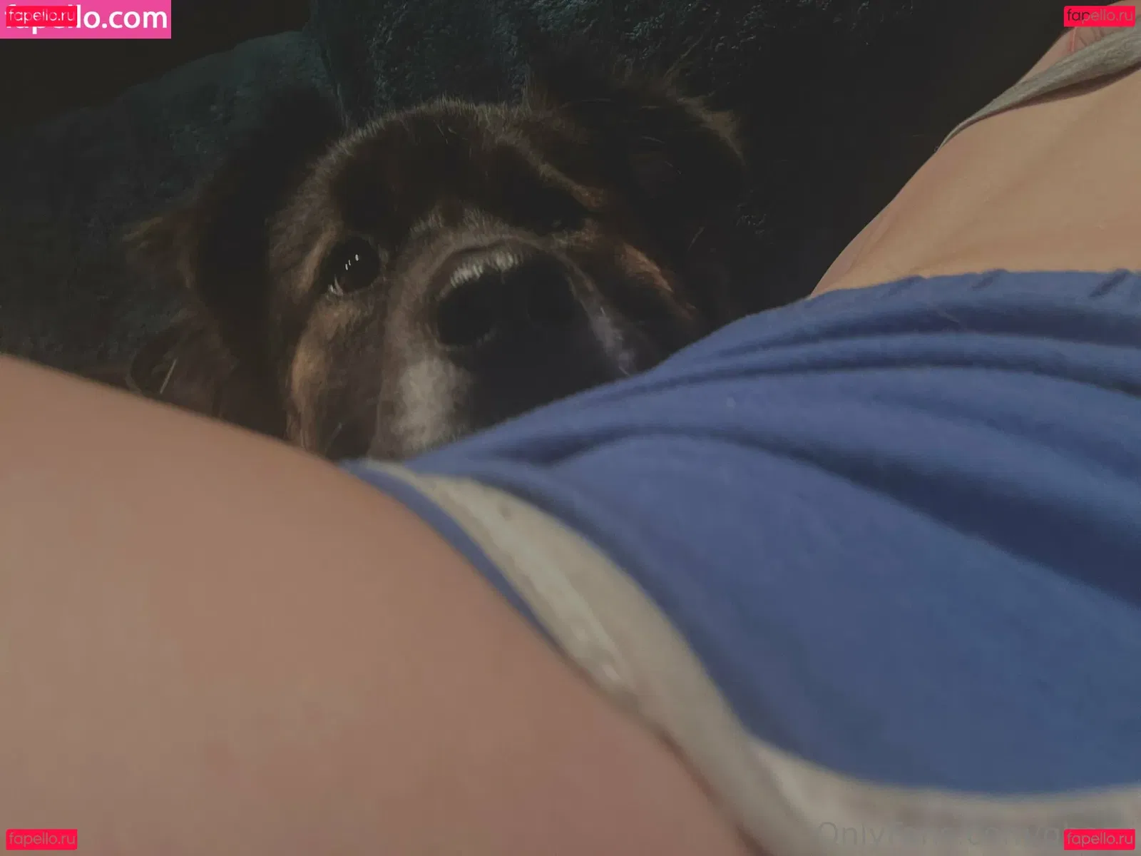 ghosti Onlyfans Photo Gallery 