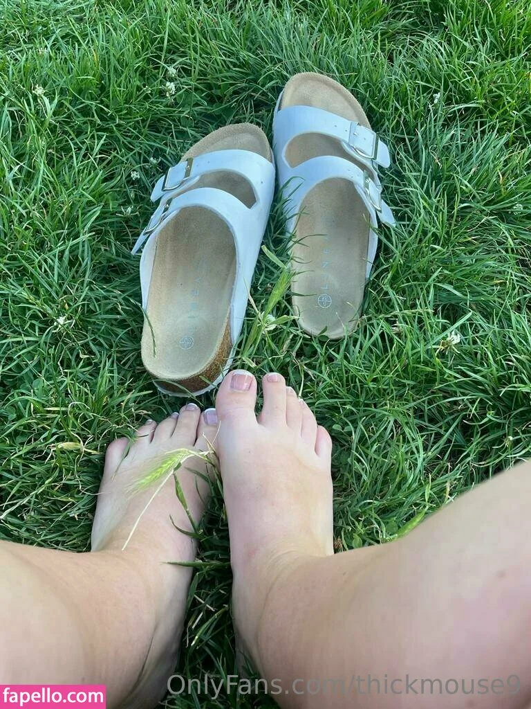 thickmouse9 Onlyfans Photo Gallery 