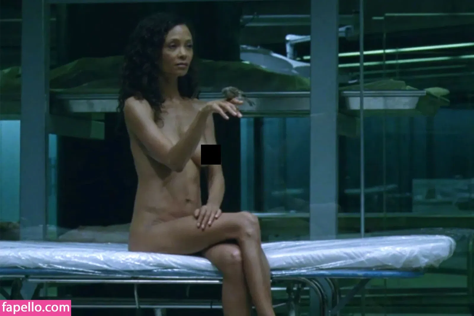 Thandie Newton Onlyfans Photo Gallery 