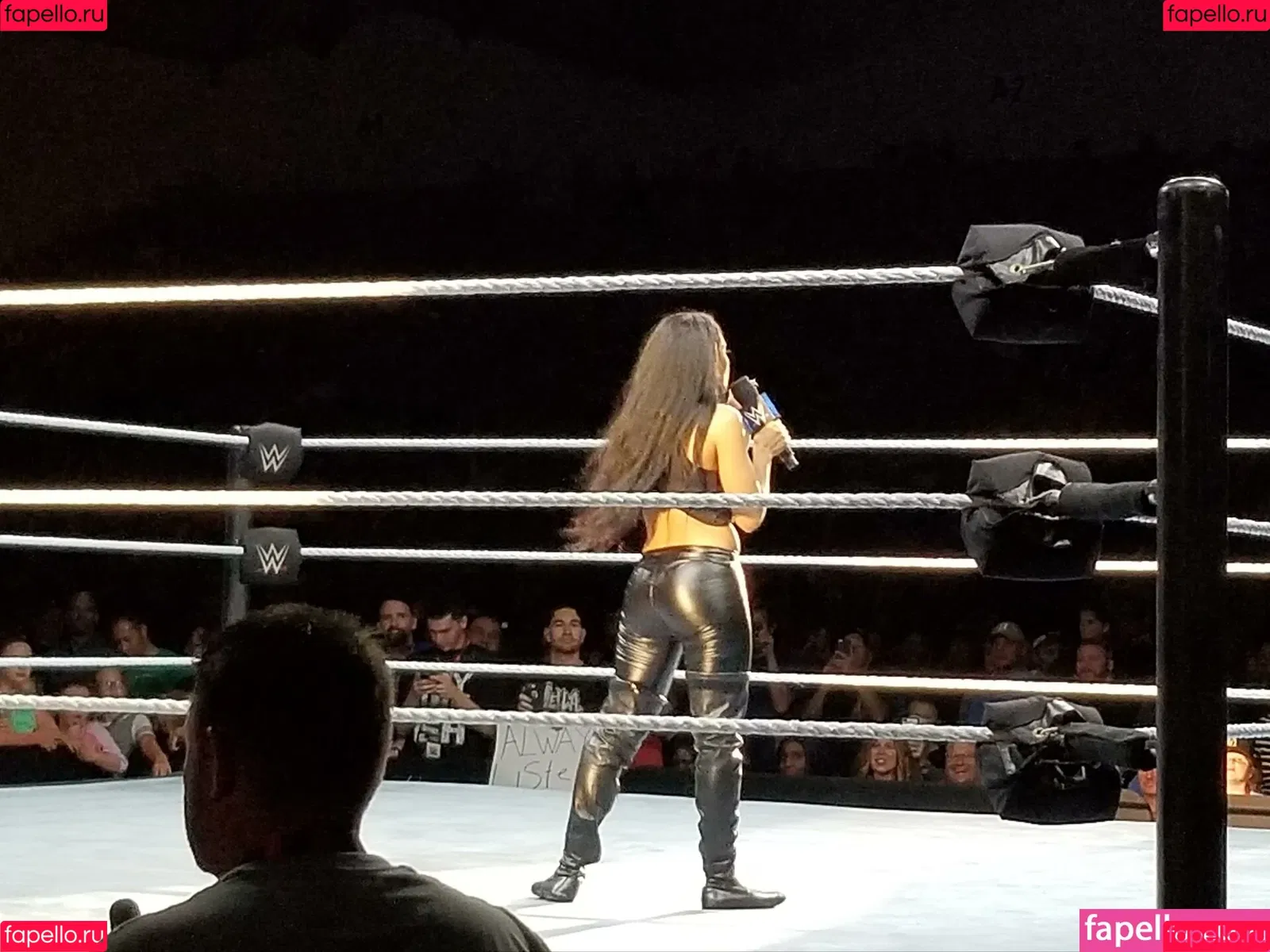 Zelina Vega Onlyfans Photo Gallery 