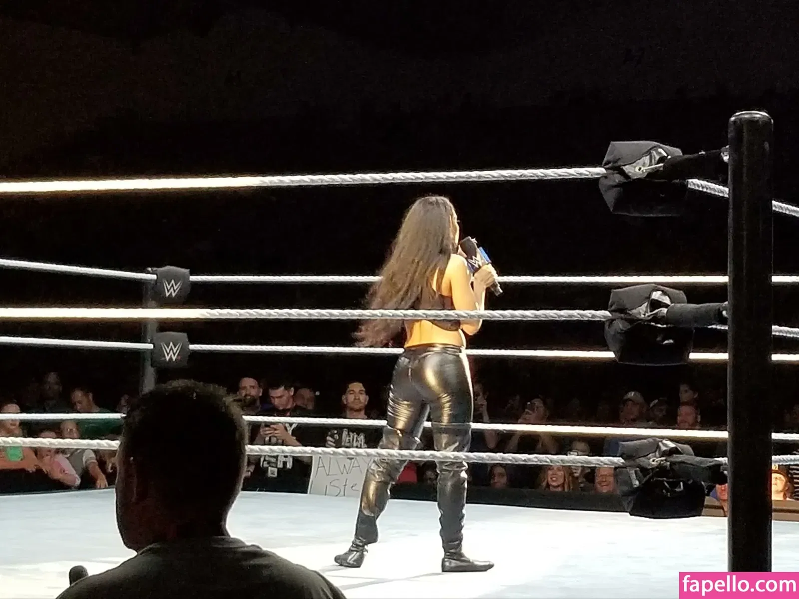 Zelina Vega Onlyfans Photo Gallery 